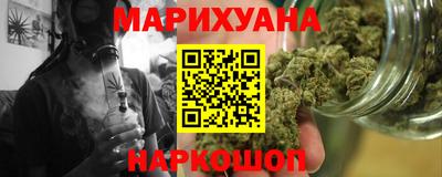 шишки Гай