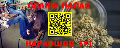 шишки Гай