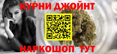 ALPHA PVP Гатчина