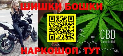 шишки Гай