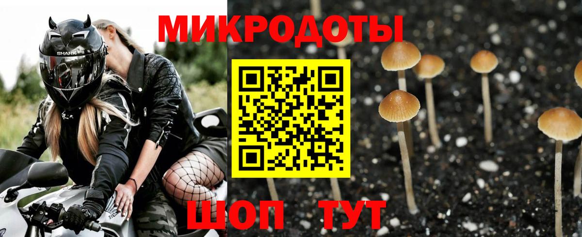 Галлюциногенные грибы Psilocybe  Вход с VPN  Галлюциногенные грибы Cubensis  Светлоград 